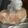 クック39HH28☆'s cooksnap of when they made 鶏胸肉を柔らかくするブライン液.