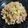 yukarin222's cooksnap of when they made さっぱり＆ガッツリ旨だれ！ネギ塩豚丼.