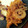 えむじえい's cooksnap of when they made 切り干し大根の煮物.