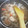 ニコルame3773's cooksnap of when they made きのこと鶏肉の炊き込みご飯.
