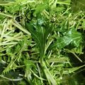 えみりんたん's cooksnap of when they made 塩昆布&水菜の和風サラダ★クリチパスタ.