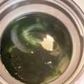 ☆ドキンちゃん☆”'s cooksnap of when they made 超簡単！手抜きでおいしいお吸い物.
