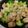 え～み～'s cooksnap of when they made 鶏ももとブロッコリーのマヨ炒め.