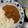 クック2NVEUY☆'s cooksnap of when they made 肉感あふるる挽肉とレンコンの無水カレー.