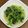 TamTam！'s cooksnap of when they made 簡単シンプル青菜炒め.