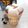 ＠迷子＠'s cooksnap of when they made とろとろマシュマロショコラ.