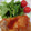 とみぃ11's cooksnap of when they made 焼いて絡めるだけ！鶏もも肉の旨ダレソース.