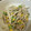 かば丸邸。's cooksnap of when they made ごぼうとささみのサラダ～柚子胡椒風味で♪.