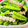 U☆kaoru's cooksnap of when they made ❀小松菜と蒲鉾の麺つゆマヨ和え❀.
