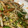はちみつココア's cooksnap of when they made 節約一品☆もやしとさつま揚げの醤油炒め♪.