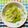 チェックのミニくま's cooksnap of when they made レンジで簡単！HOTレタスのオイスター！.
