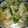 クックH710GQ☆'s cooksnap of when they made 春キャベツとフワフワ鶏だんごスープ.