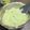 まいまいるんるん's cooksnap of when they made ヨーグルトディップ.