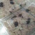 クック6DDPP8☆'s cooksnap of when they made 簡単！炊飯器で黒豆おこわ.