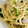 ariyuch's cooksnap of when they made しめじと長ネギの　和風パスタ　.