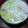 びぃ～'s cooksnap of when they made きゃべつとベーコンのミルクスープ♪.