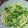Coo1215's cooksnap of when they made 水菜とツナのパスタ.