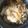 クックIK4DS8☆'s cooksnap of when they made 大根と豚バラのミルフィーユみぞれ鍋.