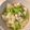 caruga's cooksnap of when they made 蕪と鶏挽肉のあんかけ煮.