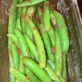 コバミツ's cooksnap of when they made 簡単♪インゲンの梅肉和え.