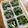 こるだ's cooksnap of when they made 離乳食★ほうれん草としらすの胡麻和え.