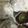クックU5WHF5☆'s cooksnap of when they made 10分マスカット大福☆求肥ライスペーパー.