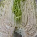 わたるんママ's cooksnap of when they made 白菜の長持ち保存法.