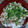 こうのとりヒロシ's cooksnap of when they made 秒速で完食▶▶ねぎ塩だれガーリック豚丼.