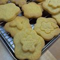 クックA48V21☆'s cooksnap of when they made ✲おいしい基本のクッキー✲.