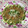 クックWZ3WQY☆'s cooksnap of when they made 旬を味わう❀わけぎ焼きをあなたと♡.