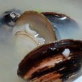 あゆたっくん's cooksnap of when they made しじみの味噌汁.