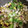 yasu_ha's cooksnap of when they made だしの素でΦ和風野菜スープ.