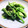 信乃犬's cooksnap of when they made 菜の花のからしマヨネーズ和え♪.