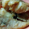 トラ吉☆'s cooksnap of when they made ズボラさんの鯛のあら煮.