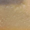 クックUBR9Z5☆'s cooksnap of when they made 炊飯器de米こうじで作る本格的♡甘酒.