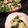 クックUH3NVG☆'s cooksnap of when they made 小松菜と豆腐の塩あんかけ.