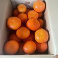 トコタン's cooksnap of when they made 箱買い♬みかんの保存方法.