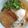 ミロ9607's cooksnap of when they made かけうどん温玉乗せ…蕎麦も.｡*♡.