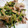 がーる2019's cooksnap of when they made 激ウマほうれん草と豚肉と油揚げのバタポン.