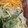 ﾌﾞﾚﾝﾀﾞ's cooksnap of when they made 白ネギの保存方法♪.