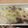 りいこりんご's cooksnap of when they made 白菜と豚肉のグラタン.