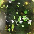 しーくれっと・らいふ's cooksnap of when they made 即席♪ワカメスープ.