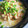 ＊こめたろう＊'s cooksnap of when they made レンジで簡単おかゆ.