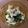 みみふぁん's cooksnap of when they made ご飯の供！カブ菜の塩麹漬けかつお節添え.