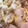 ふぁんころ's cooksnap of when they made 味付けは白だしのみ！しめじと白菜の煮物.