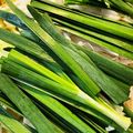 クックU65HQZ☆'s cooksnap of when they made 【自分メモ】醤油もつ鍋スープ.