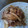 クック00Q0QZ☆'s cooksnap of when they made 簡単＊我が家の蒸しハンバーグ.