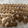 ぞじ仔's cooksnap of when they made サクサク！ココアクッキー。○バター無し.