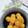 みっちゃん❇️68's cooksnap of when they made 【お節料理】金柑の甘露煮✿つやつや仕上げ.