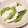 SakuranboX's cooksnap of when they made イカとセロリの炒め物.